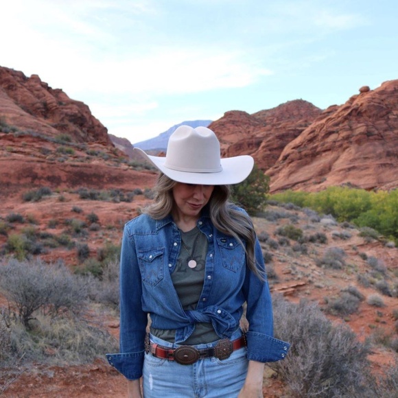 Ariat Double S Wool 3X Silverbelly Cowboy Hat